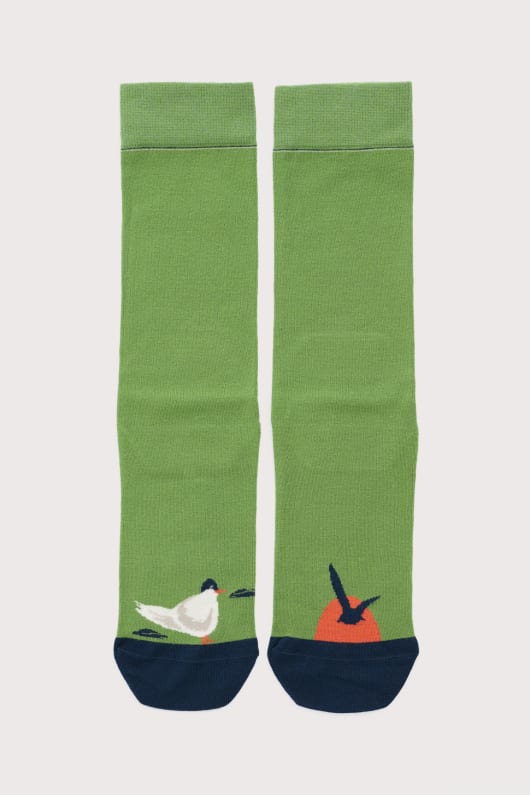 hommes chaussettes tous les jours