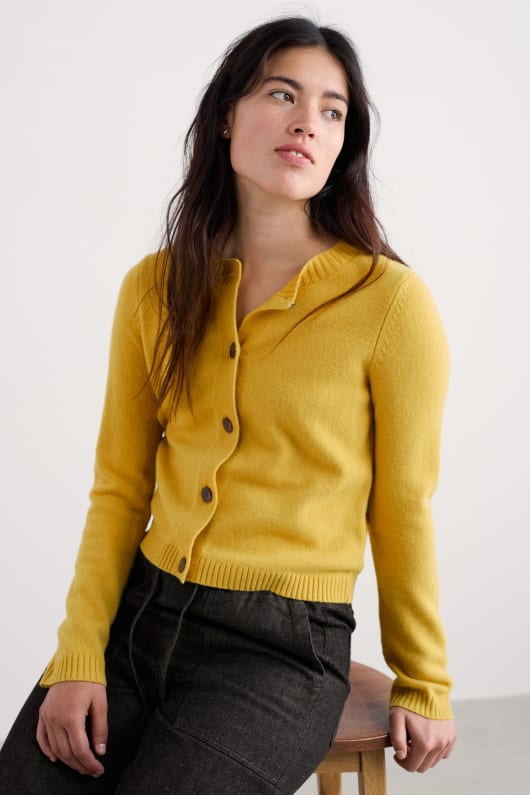 la sterne de marée cardigan