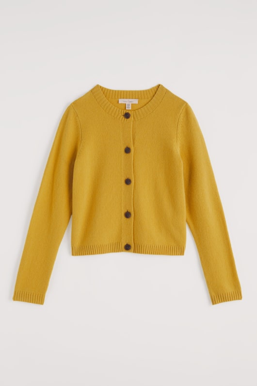 la sterne de marée cardigan