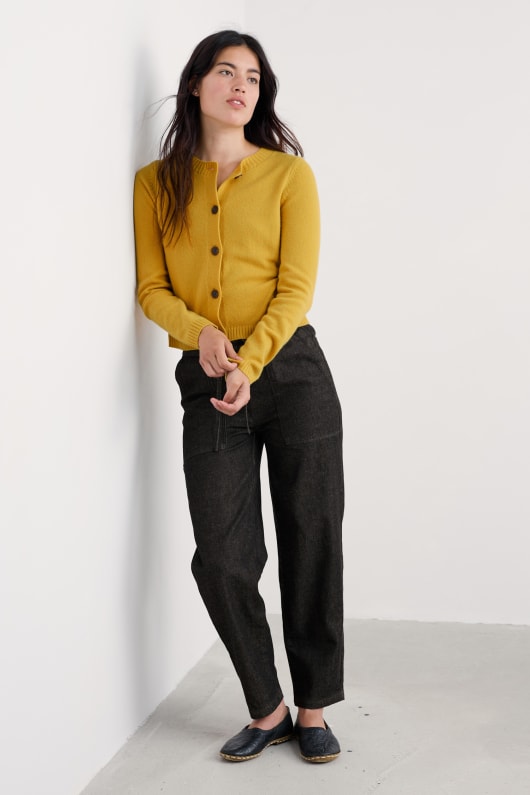 la sterne de marée cardigan