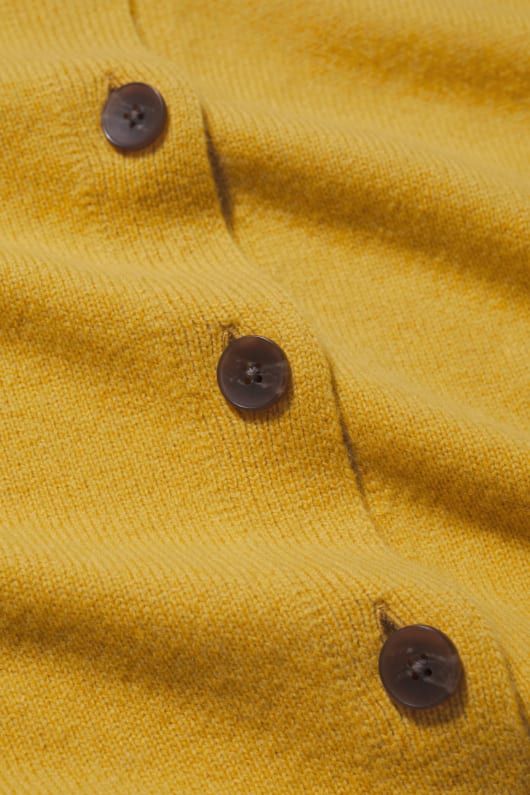 la sterne de marée cardigan