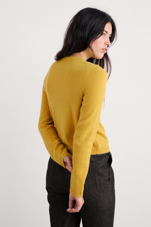 la sterne de marée cardigan